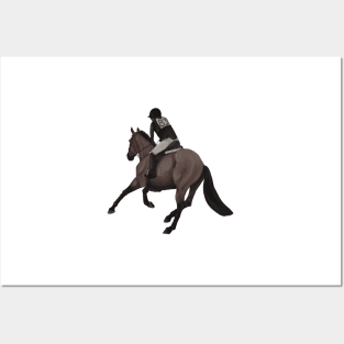 Bay Roan Cross Country Gallop Away Posters and Art